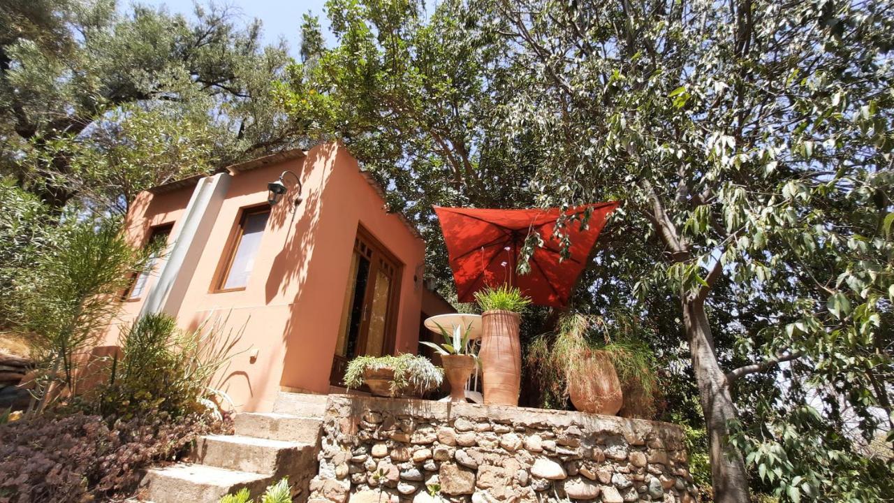Maroc Lodge Atlas Mountain Retreat Amizmiz Eksteriør bilde