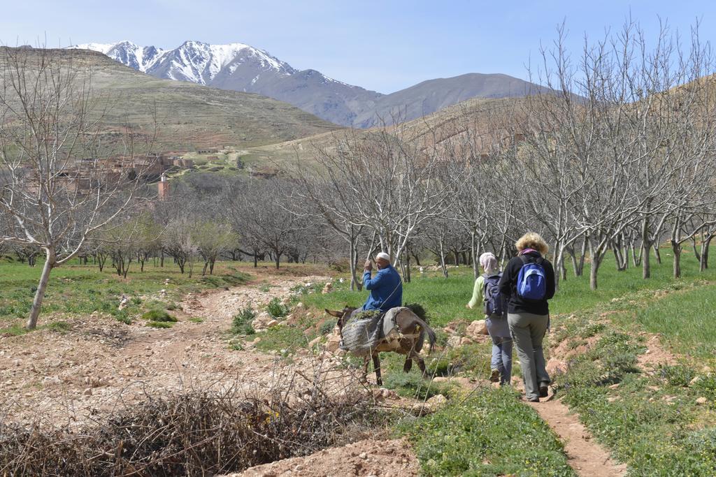 Maroc Lodge Atlas Mountain Retreat Amizmiz Eksteriør bilde